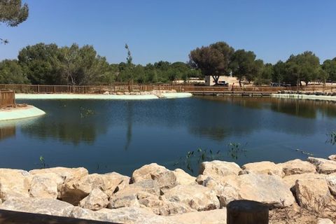 Villa i Dolores, Alicante, Dolores - € 385.000 | Ref: 409 - foto 14